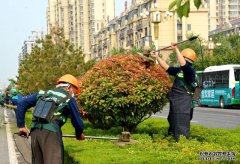 青州市：黨建紅+園林綠+環衛橙，合力打造全域花園城市